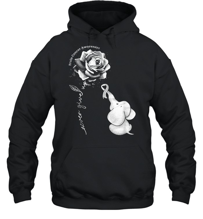 Never Give Up Brain Cancer Awareness shirt Unisex Hoodie