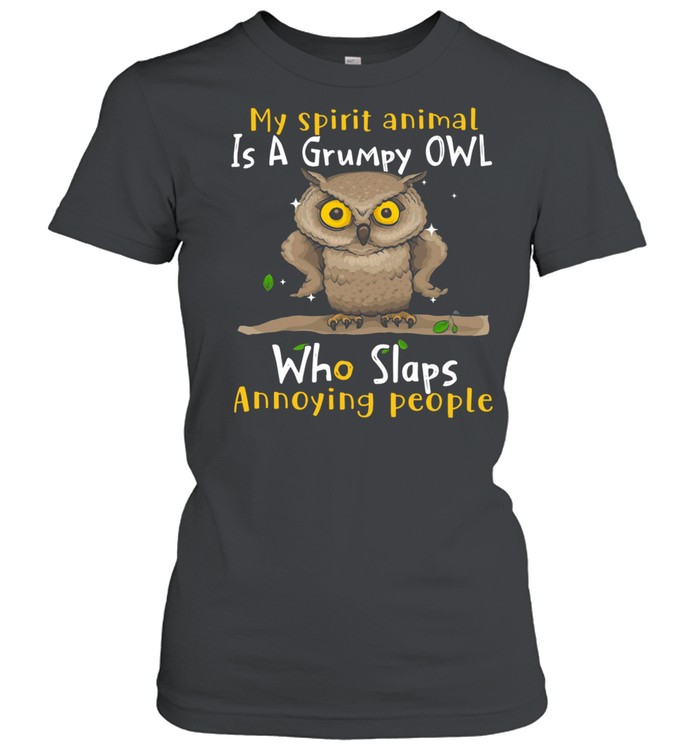 My Spirit Animal Is A Grumpy Owl Who Slaps Annoying People  Classic Women's T-shirt