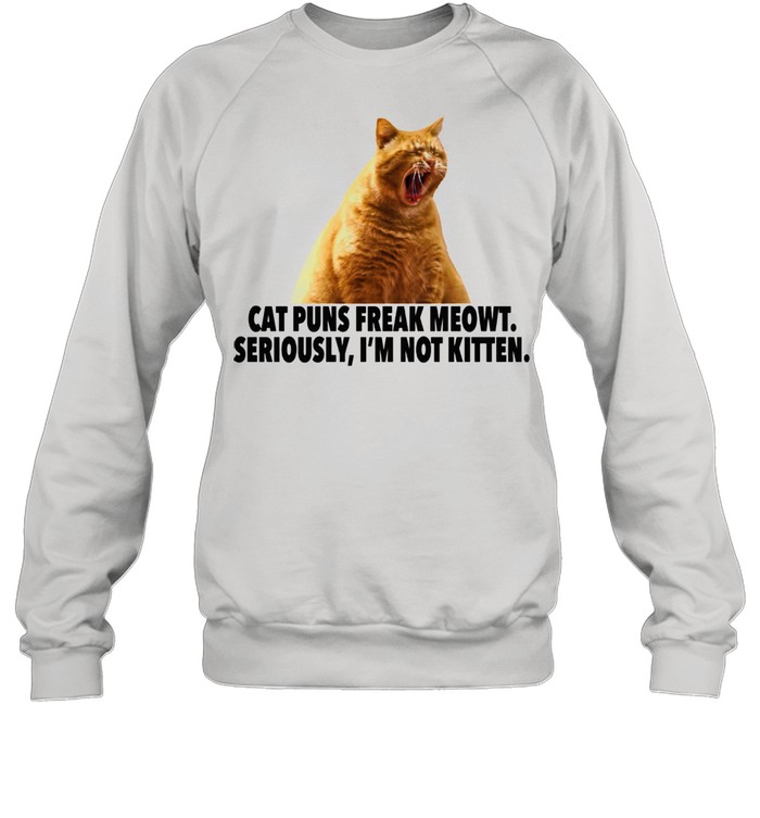 Another  Cat Puns Freak Meowt I’m not kitten  Unisex Sweatshirt